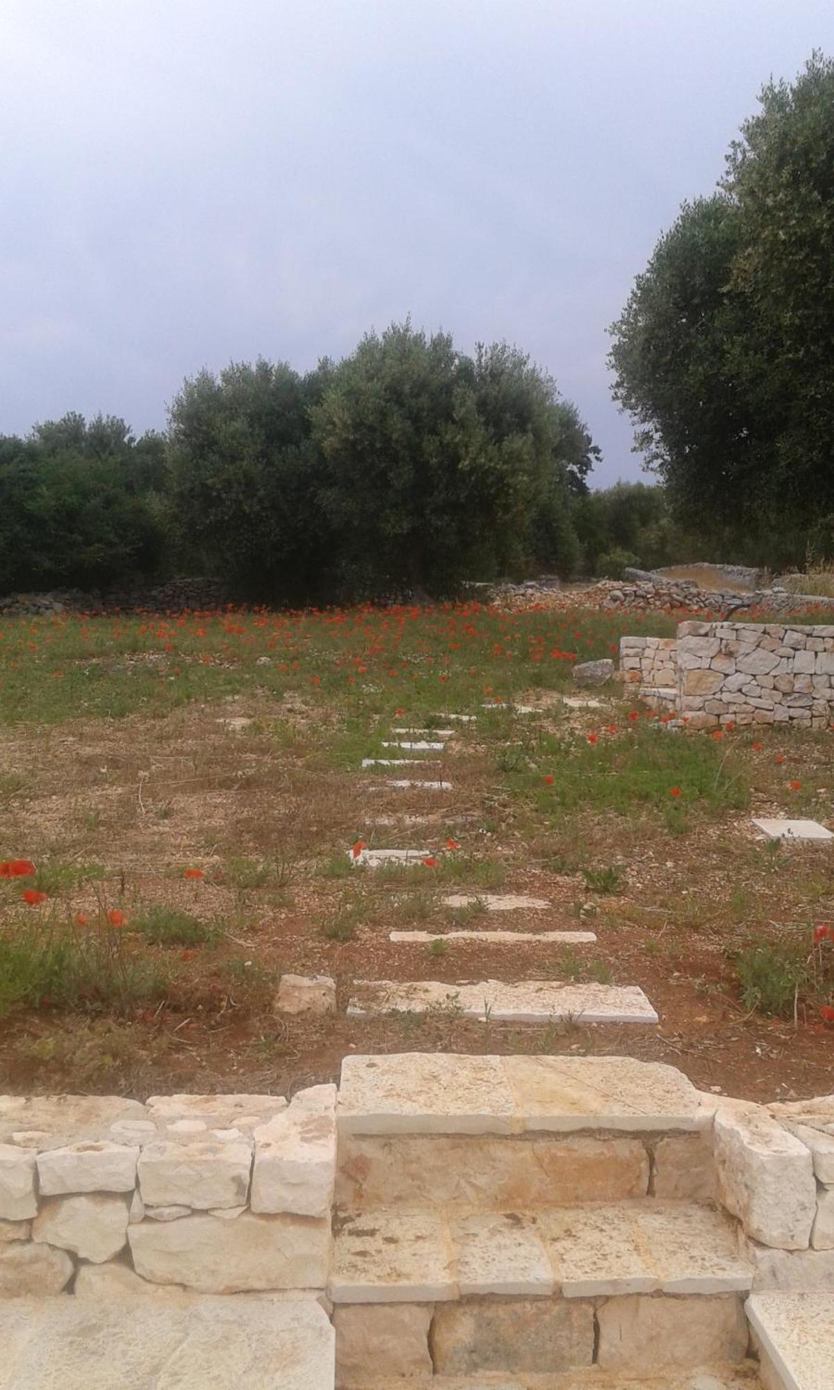 Trullo Alto Salento Villa ชิสแตร์นีโน ภายนอก รูปภาพ