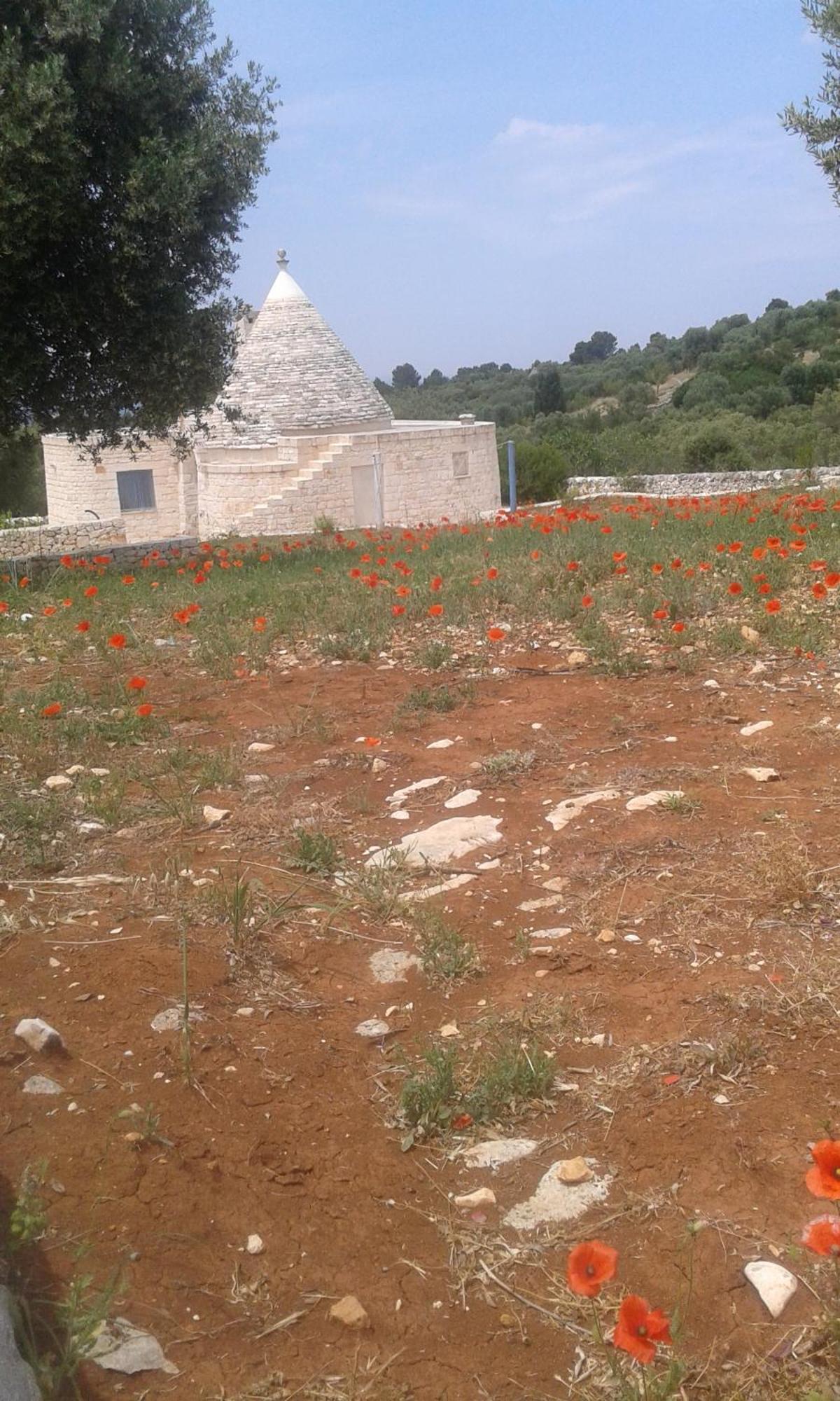 Trullo Alto Salento Villa ชิสแตร์นีโน ภายนอก รูปภาพ