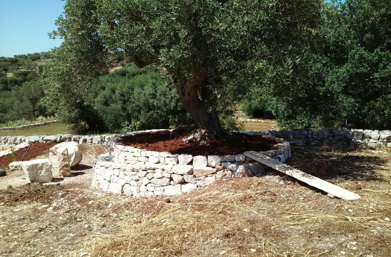 Trullo Alto Salento Villa ชิสแตร์นีโน ภายนอก รูปภาพ